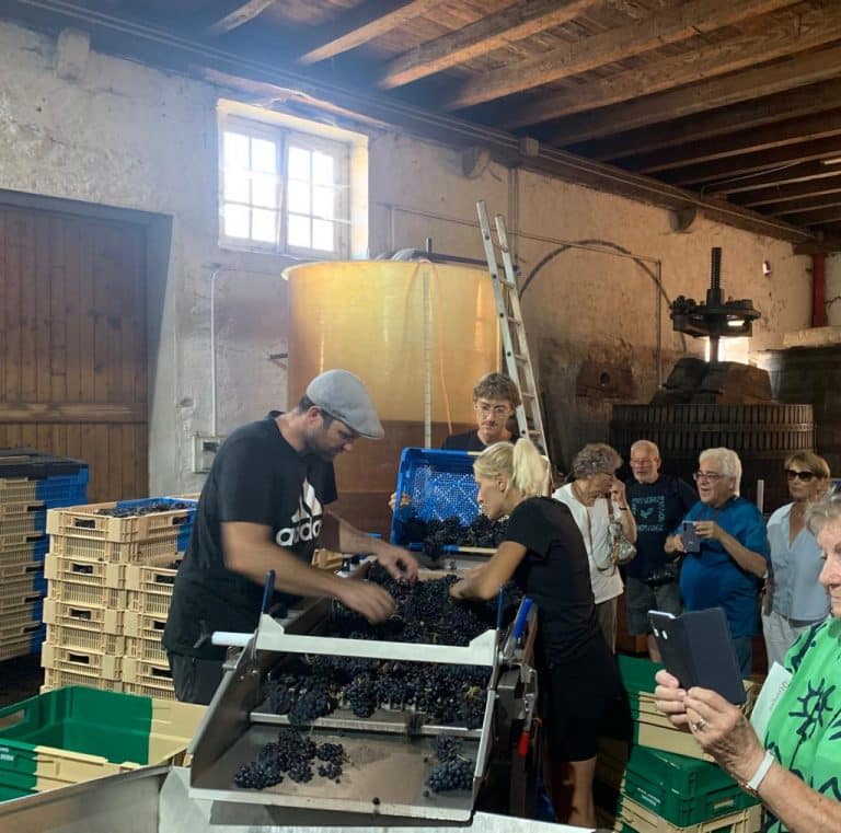 WhatsApp Image 2023-10-05 à 16.57