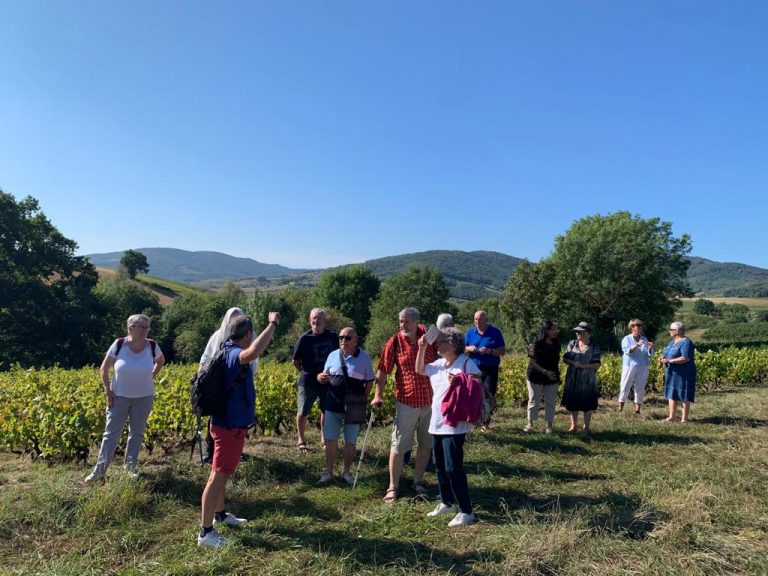 WhatsApp Image 2023-10-05 à 11.13